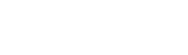 主な支援内容